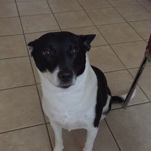 Meet your Posher, Bich-nga